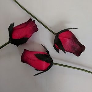 NEW🌹4-ever roses🌹by the dozen